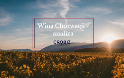 Croatian Wine: Market Analysis and Investment Potential