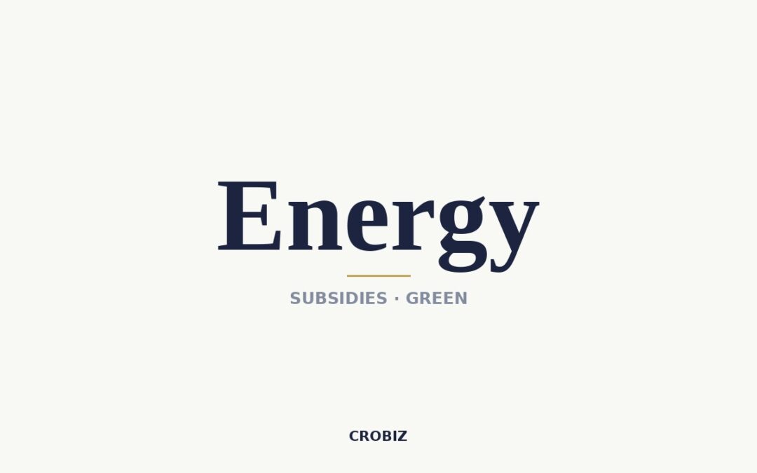 Renewable Energy Subsidies in Croatia